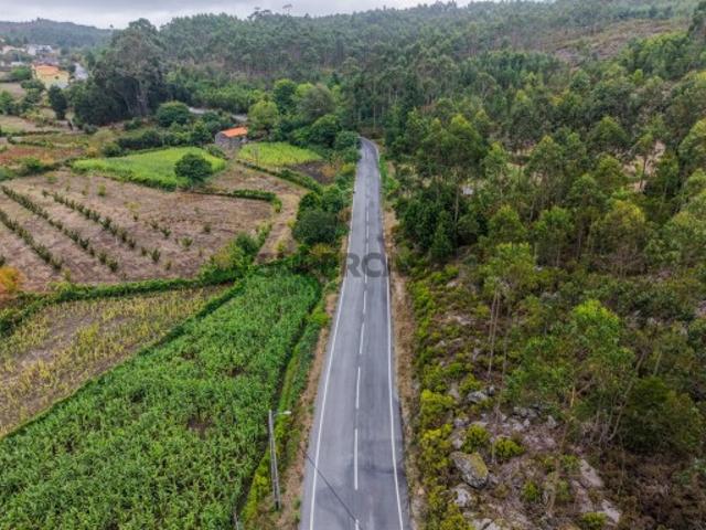Terreno venda em Sever do Vouga