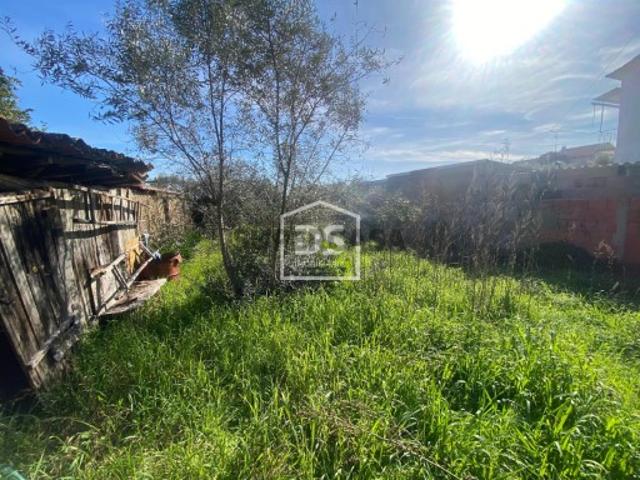 Terreno venda em Castelo Branco
