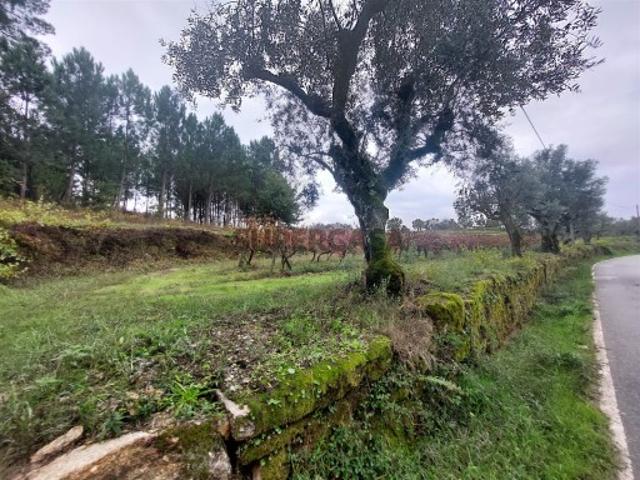 Terreno venda em Guarda, São Julião