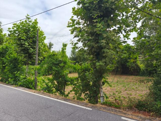 Terreno venda em Barral, Amarante