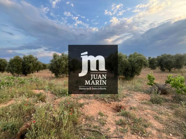 Terreno en venta en Pozohondo, Castilla-La Mancha