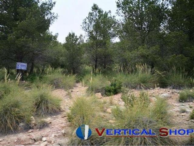 Terreno en venta en Caudete, Castilla-La Mancha