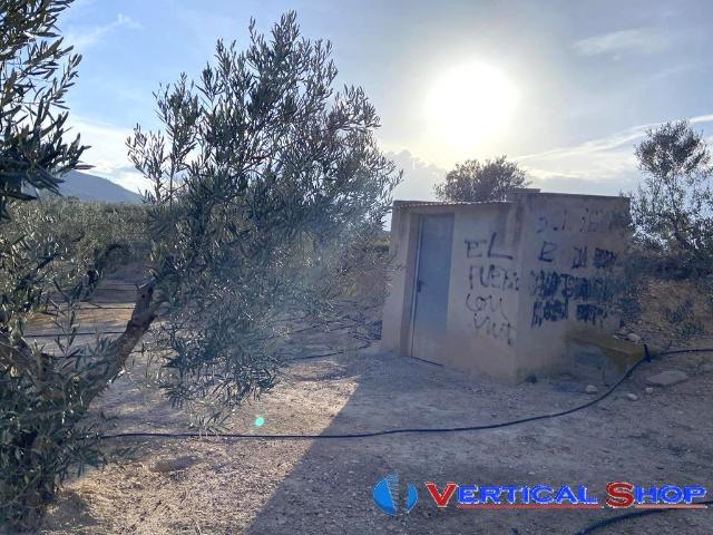 Terreno en venta en Caudete, Castilla-La Mancha