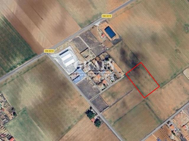 Terreno en venta en Pozo Cañada, Castilla-La Mancha