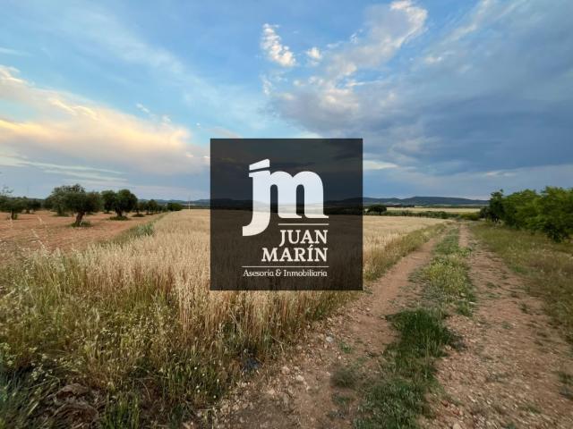 Terreno en venta en Pozohondo, Castilla-La Mancha