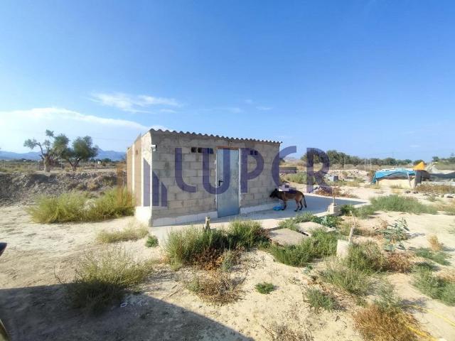 Terreno en venta en Agost