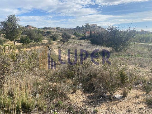 Terreno en venta en San Vicente Del Raspeig, la Borinquen