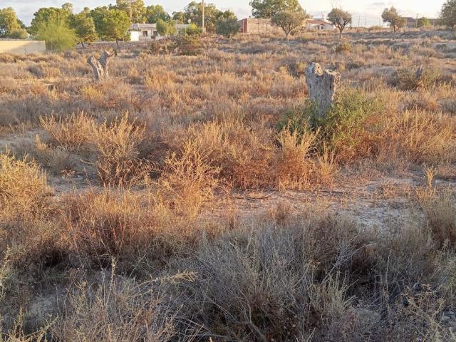 Terreno en venta en l'Alacantí, Valencia