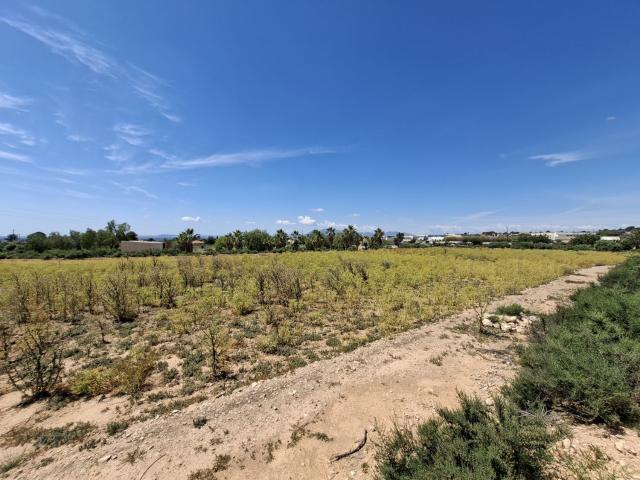 Terreno en venta en el Baix Vinalopó, Valencia