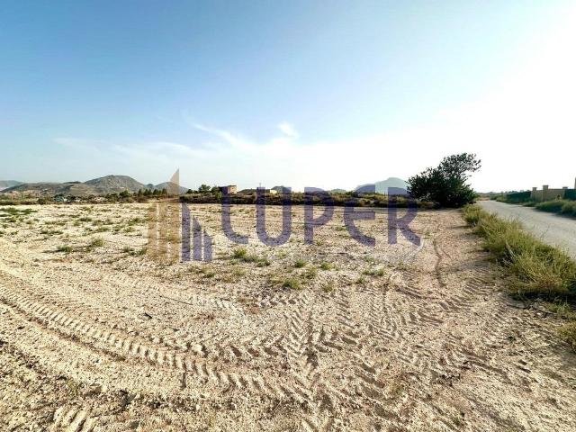 Terreno en venta en San Vicente Del Raspeig, la Borinquen