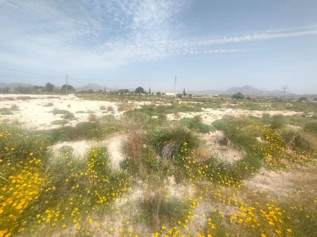 Terreno en venta en l'Alacantí, Valencia