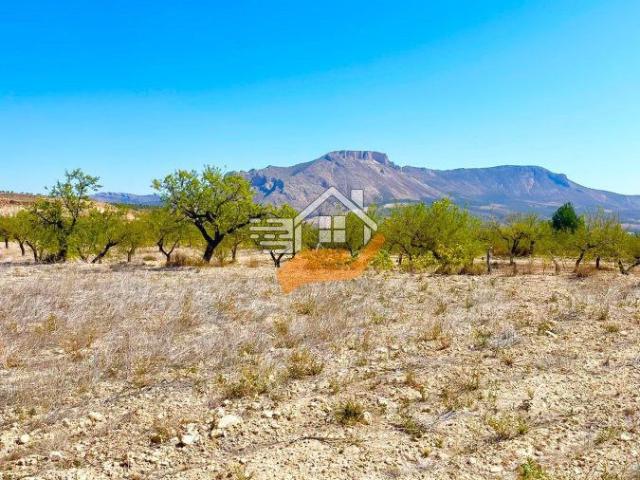 Terreno en venta en Los Vélez, Andalucía