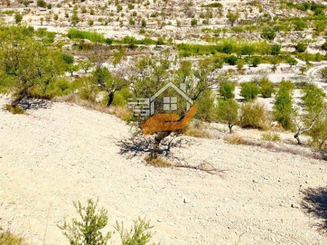 Terreno en venta en Los Vélez, Andalucía