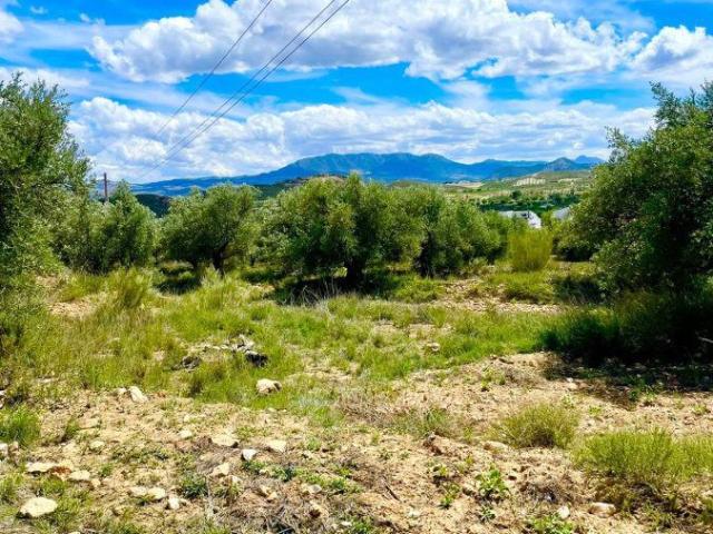 Terreno en venta en Los Vélez, Andalucía