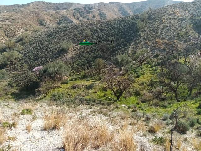 Terreno en venta en El Fas, Valle del Almanzora