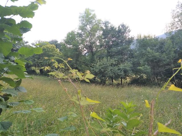 Terreno en venta en Grado, Asturias