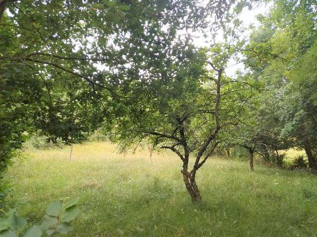 Terreno en venta en Grado, Asturias