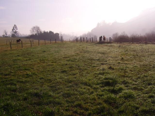 Terreno en venta en Las Regueras, Asturias