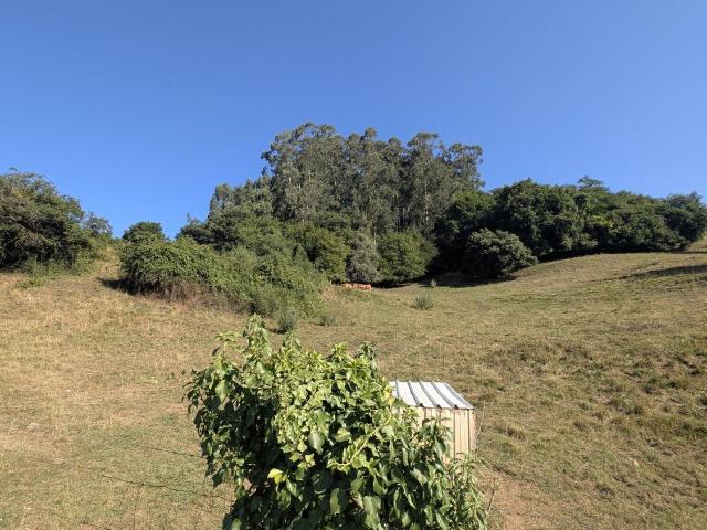 Terreno en venta en Parbayón, Piélagos