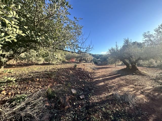 Terreno en venta en l'Alt Palància, Valencia