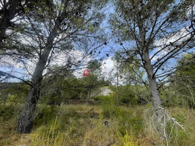 Terreno en venta en el Baix Maestrat, Valencia