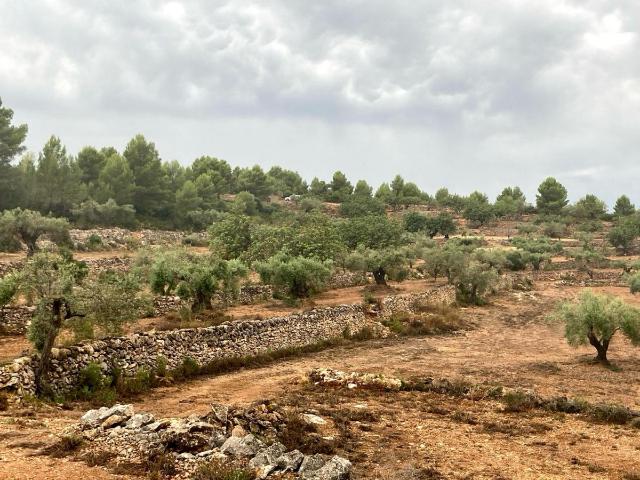 Terreno en venta en Vall D'alba, Valencia