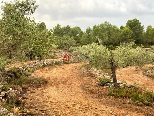 Terreno en venta en la Plana Alta, Valencia