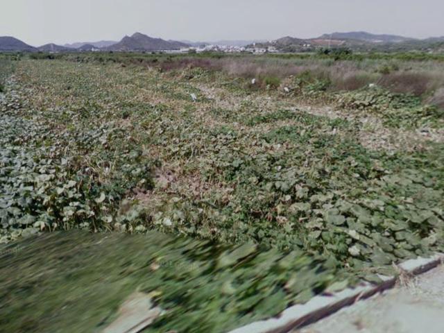 Terreno en venta en la Plana Baixa, Valencia