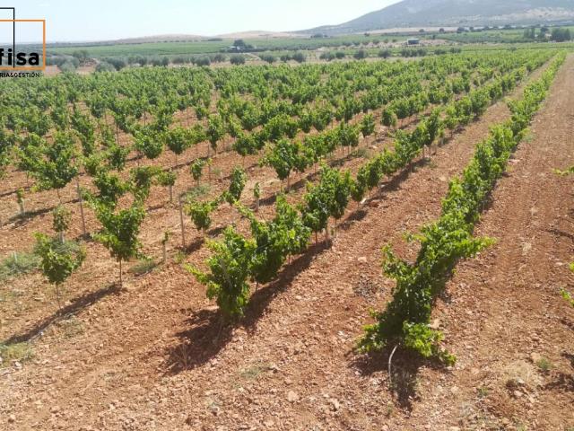 Terreno en venta en Valdepeñas, Castilla-La Mancha