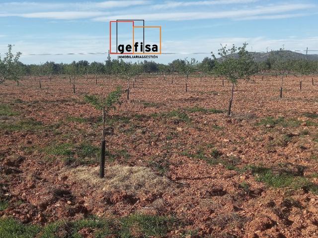 Terreno en venta en Valdepeñas, Castilla-La Mancha