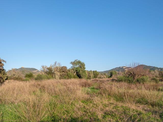 Terreno en venta en Cas Concos des Cavaller, Migjorn