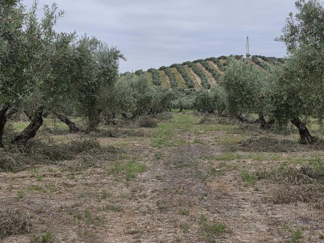 Terreno en venta en Pegalajar, Andalucía