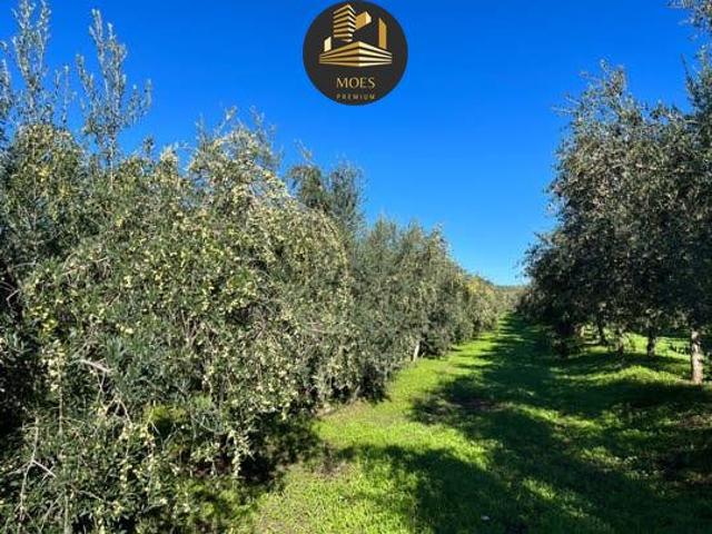 Terreno en venta en Linares, Andalucía