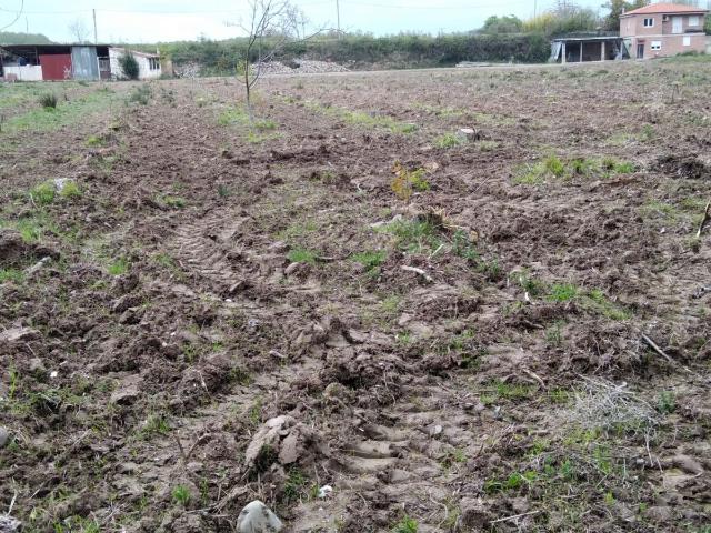 Terreno en venta en Albelda De Iregua, La Rioja