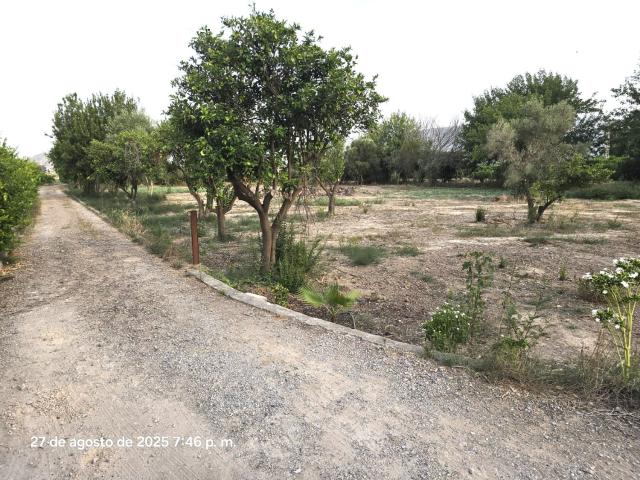 Terreno en venta en Llano de Brujas, Área Metropolitana de Murcia
