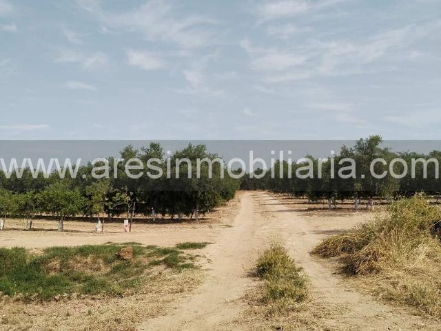 Terreno en venta en Écija, Andalucía