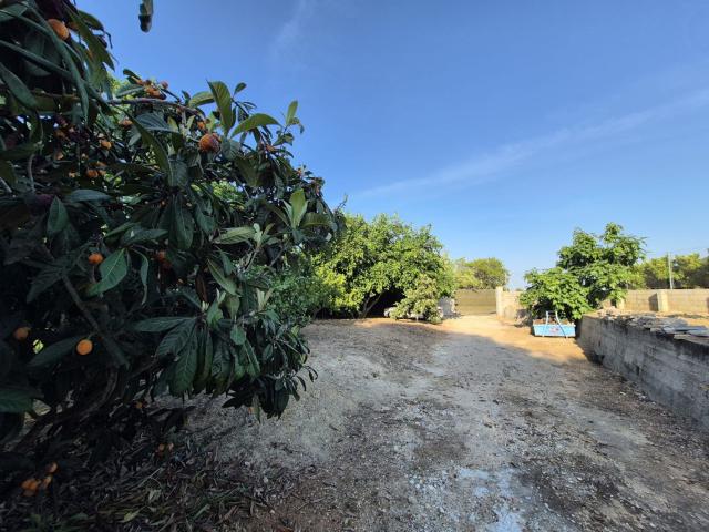 Terreno en venta en la Safor, Valencia