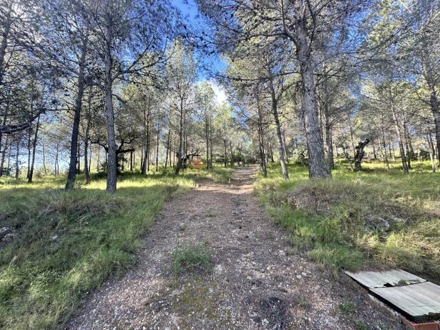 Terreno en venta en el Camp de Morvedre, Valencia