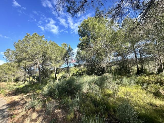 Terreno en venta en el Camp de Morvedre, Valencia
