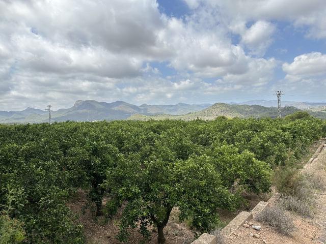 Terreno en venta en la Vila, el Camp de Morvedre