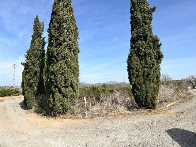 Terreno en venta en el Camp de Morvedre, Valencia