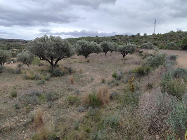 Terreno en venta en La Serranía, Valencia