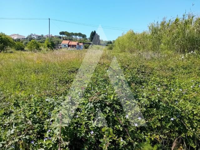 Terreno venda em Mealhada, Aveiro
