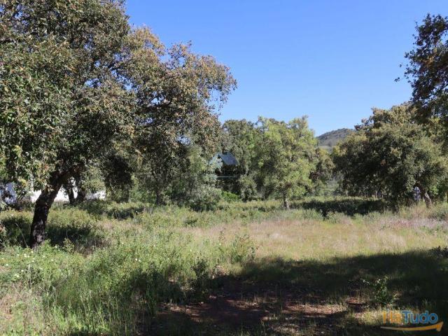 Terreno venda em Loulé, Faro