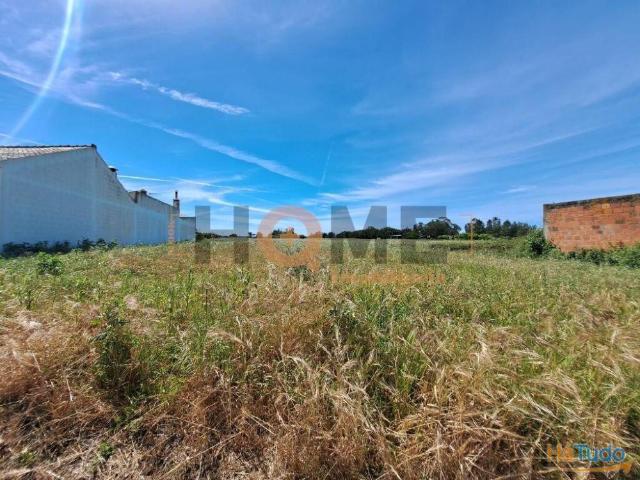 Terreno venda em Alpiarça, Santarém