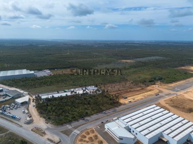 Terreno venda em Albergaria-a-velha, Aveiro