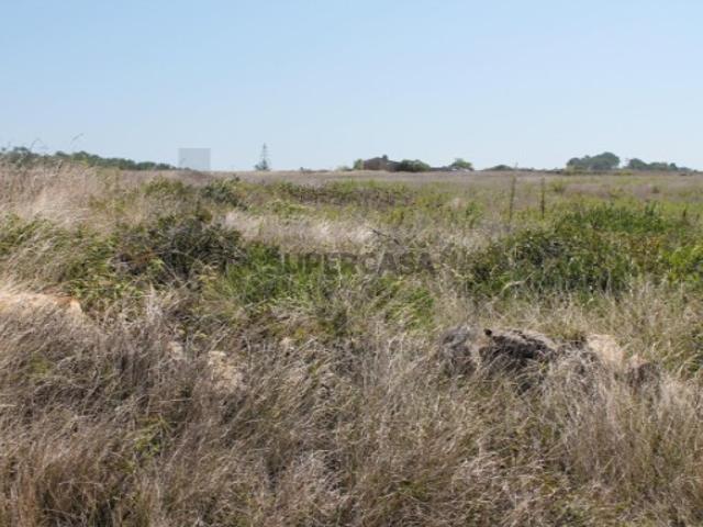 Terreno venda em São João das Lampas, Lisboa