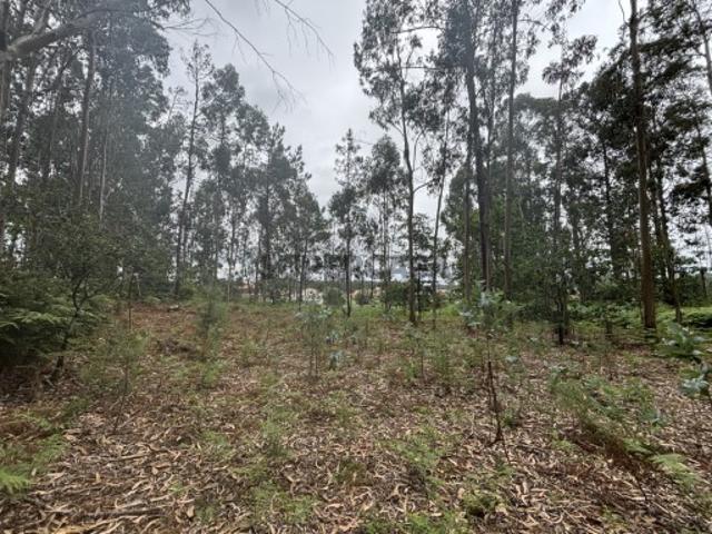 Terreno venda em Esposende, Braga