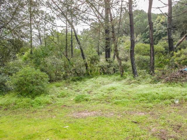 Terreno venda em Almada, Setúbal