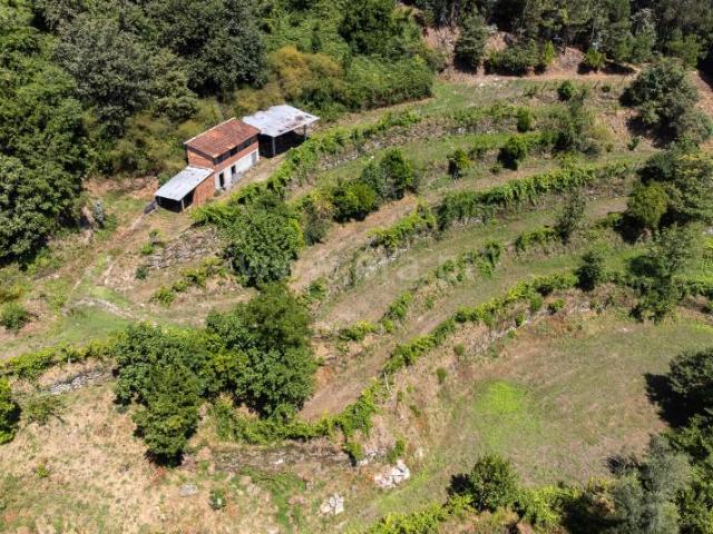 Terreno venda em Carvalho e Quintães, Amares